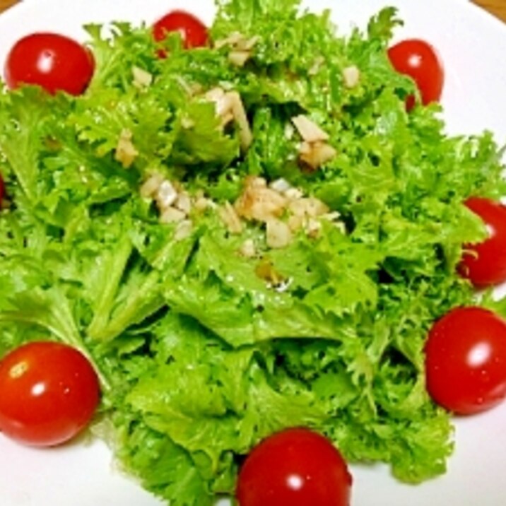 わさび菜のニンニクドレッシングサラダ レシピ 作り方 By ビフスラン 楽天レシピ わさび菜のニンニクドレッシングサラダ レシピ 作り方 By ビフスラン 楽天レシピ